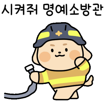 교육이미지